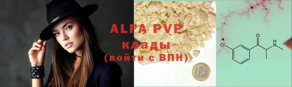 стаф Бородино