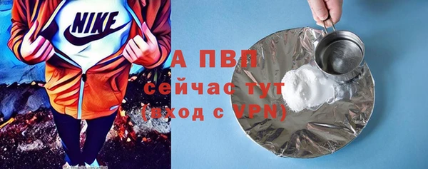 стаф Бородино
