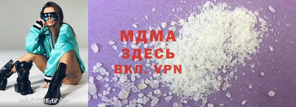 стаф Бородино