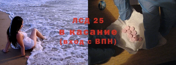 стаф Бородино